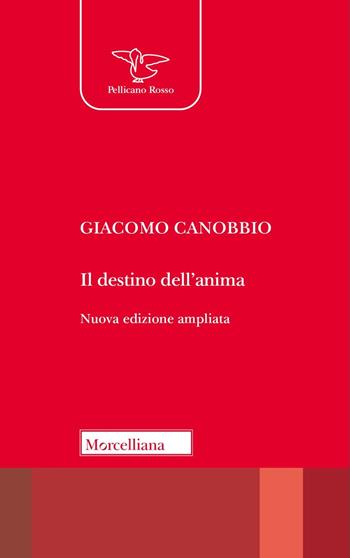 Il destino dell'anima. Elementi per una teologia. Ediz. ampliata - Giacomo Canobbio - Libro Morcelliana 2024, Il pellicano rosso | Libraccio.it