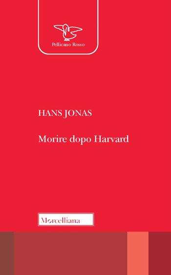 Morire dopo Harvard - Hans Jonas - Libro Morcelliana 2023, Il pellicano rosso | Libraccio.it