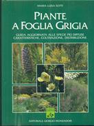 Piante a foglia grigia  - Libro Editoriale Giorgio Mondadori 1997 | Libraccio.it