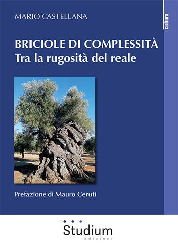 Briciole di complessità. Tra la rugosità del reale - Mario Castellana - Libro Studium 2022, La cultura | Libraccio.it