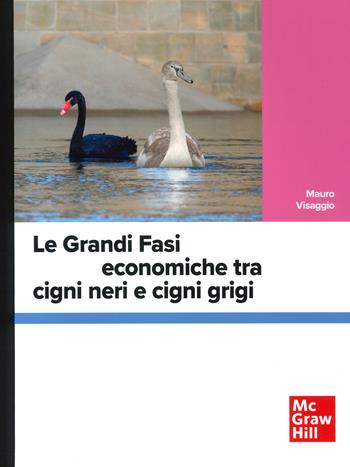 Le grandi fasi economiche tra cigni neri e cigni grigi - Mauro Visaggio - Libro McGraw-Hill Education 2024, Economia e discipline aziendali | Libraccio.it