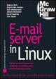 E-mail server in Linux  - Libro McGraw-Hill Education 2007, Informatica professionale | Libraccio.it