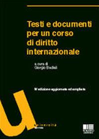 Testi e documenti per un corso di diritto internazionale  - Libro Maggioli Editore 2001, Università | Libraccio.it