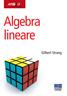 Algebra lineare - Gilbert Strang - Libro Apogeo Education 2008, Idee e strumenti | Libraccio.it