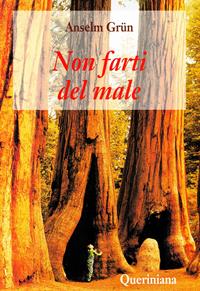 Non farti del male - Anselm Grün - Libro Queriniana 1999, Spiritualità | Libraccio.it