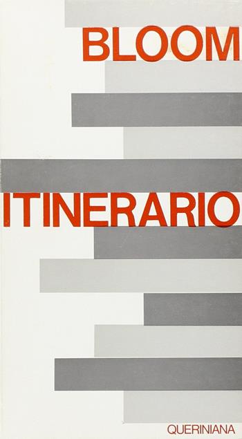Itinerario. Meditazioni su un tema - Anthony Bloom - Libro Queriniana 1975, Meditazioni | Libraccio.it