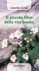 Il piccolo libro della vita buona - Anselm Grün - Libro Queriniana 2007, Meditazioni | Libraccio.it