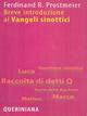 Breve introduzione ai vangeli sinottici - Ferdinand R. Prostmeier - Libro Queriniana 2007, Breve | Libraccio.it