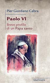 Paolo VI. Breve profilo di papa santo