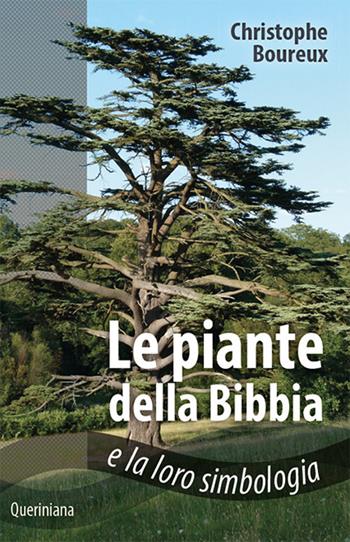 Piante della Bibbia e la loro simbologia - Christophe Boureux - Libro Queriniana 2017, Spiritualità | Libraccio.it