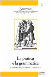 La pratica e la grammatica. Letteratura e teorie culturali