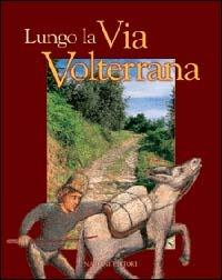 Lungo la via Volterrana  - Libro Nardini 2001, Le arti e la storia | Libraccio.it
