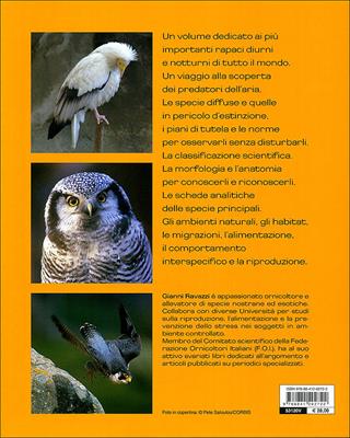 Rapaci diurni e notturni - Gianni Ravazzi - Libro De Vecchi 2010 | Libraccio.it