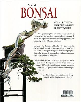 L' arte del bonsai. Storia, estetica, tecniche e segreti di coltivazione - Antonio Ricchiari - Libro De Vecchi 2011, Enciclopedia pratica | Libraccio.it