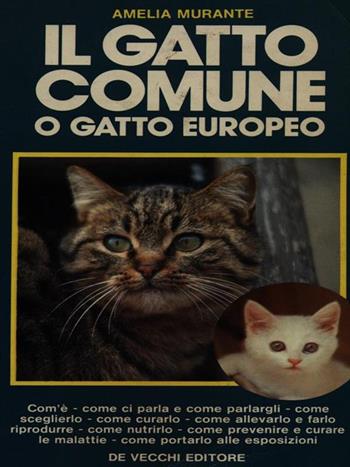 Il gatto comune o gatto europeo - Amelia Murante - Libro De Vecchi 1990 | Libraccio.it