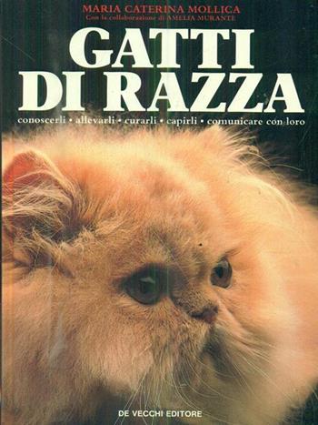 Gatti di razza - Maria Caterina Mollica - Libro De Vecchi 1989 | Libraccio.it