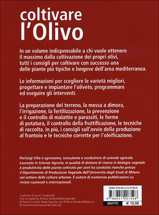 Coltivare l'olivo. Dall'impianto alla produzione dell'olio - Pierluigi Villa - Libro De Vecchi 2012, Guide del buon raccolto | Libraccio.it