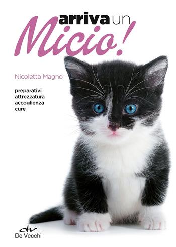 Arriva un micio! Preparativi, attrezzatura, accoglienza, cure - Nicoletta Magno - Libro De Vecchi 2015, Animali | Libraccio.it