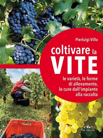 Coltivare la vite. Le varietà, le forme di allevamento, le cure dall'impianto alla raccolta - Pierluigi Villa - Libro De Vecchi 2016, Guide del buon raccolto | Libraccio.it