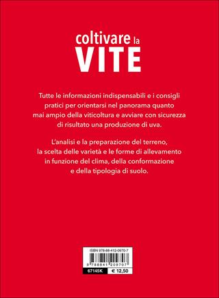 Coltivare la vite. Le varietà, le forme di allevamento, le cure dall'impianto alla raccolta - Pierluigi Villa - Libro De Vecchi 2016, Guide del buon raccolto | Libraccio.it
