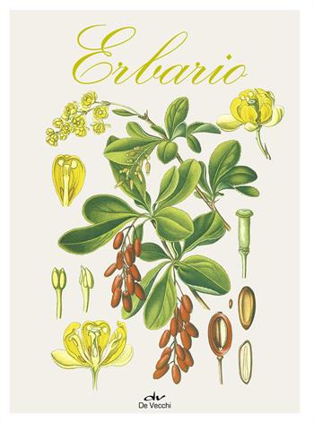 Erbario. Ediz. a colori - Lucia Celli - Libro De Vecchi 2017 | Libraccio.it