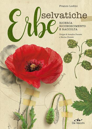 Erbe selvatiche. Ricerca, riconoscimento e raccolta - Franco Lodini, Annalisa Durante, Marina Durante - Libro De Vecchi 2018 | Libraccio.it