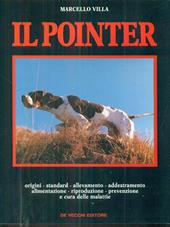 Il pointer