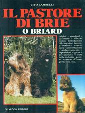 Il pastore della brie o briard