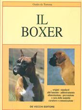 Il boxer