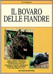 Il bovaro delle Fiandre