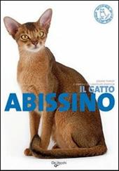 Il gatto abissino