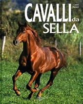 Cavalli da sella