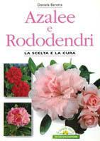Azalee e rododendri - Daniela Beretta - Libro De Vecchi 2000, Orticoltura | Libraccio.it