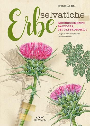 Erbe selvatiche. Riconoscimento. Raccolta. Usi gastronomici - Franco Lodini, Annalisa Durante, Marina Durante - Libro De Vecchi 2024 | Libraccio.it