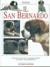 Il san Bernardo