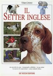 Il Setter Inglese