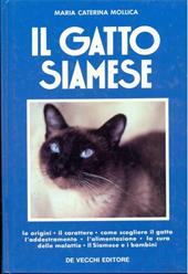 Il gatto siamese