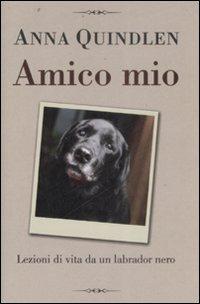 Amico mio. Lezioni di vita da un labrador nero - Anna Quindlen - Libro De Agostini 2008 | Libraccio.it