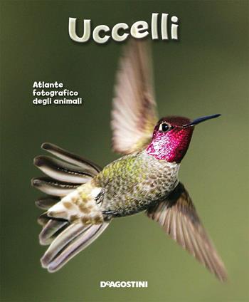 Uccelli  - Libro De Agostini 2014, Enciclopedia illustrata | Libraccio.it