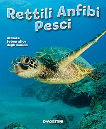 Pesci  - Libro De Agostini 2014, Enciclopedia illustrata | Libraccio.it