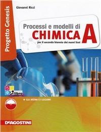 Processi e modelli di chimica. Con espansione online. Vol. 1 - Giovanni Ricci - Libro De Agostini 2012 | Libraccio.it
