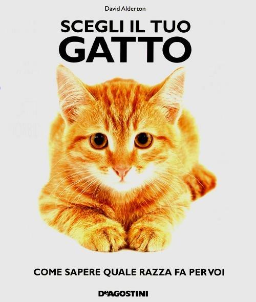 Scegli il tuo gatto. Come sapere quale razza fa per voi - David