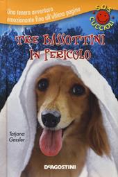 Tre bassottini in pericolo. S.O.S. cuccioli