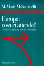 Europa: cosa ci attende? L'unione europea tra mercato e istituzioni