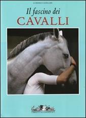 Il fascino dei cavalli