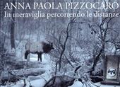 Anna Paola Pizzocaro. In meraviglia percorrendo le distanze. Ediz. italiana e inglese