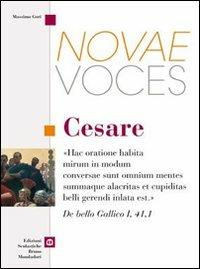 Novae voces. Seneca. Per i Licei e gli Ist. magistrali - Martino Menghi, Massimo Gori - Libro Edizioni Scolastiche Bruno Mondadori 2007 | Libraccio.it