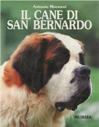 Il cane san Bernardo - Antonio Morsiani - Libro Mursia 2012, Le grandi razze | Libraccio.it