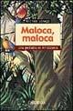Maloca, maloca. Una pediatra in Amazzonia - Michela Sonego - Libro Ugo Mursia Editore 2012, Interventi | Libraccio.it