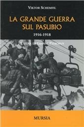 La grande guerra sul Pasubio 1916-1918